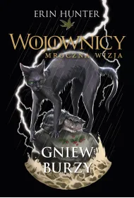 Gniew burzy. Cykl Wojownicy. Mroczna wizja. Tom 6