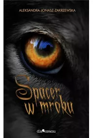 Spacer w mroku