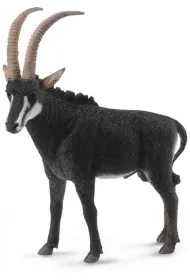 Antylopa olbrzymia - samiec