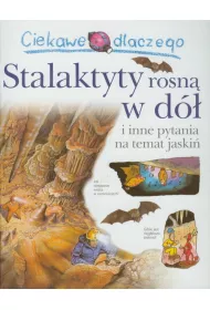 Ciekawe dlaczego stalaktyty rosn� w d� i inne pytania na temat jaski�