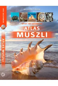 Atlas muszli