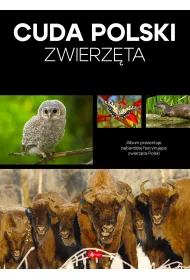 Cuda Polski. Zwierz�ta