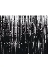 Godan Kurtyna dekoracyjna B&C czarna 90 x 240 cm