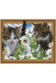 iPicasso Diamentowa mozaika 5D - Koci�ta w polu rumiank�w 40x50cm