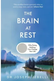 The Brain at Rest wer. angielska