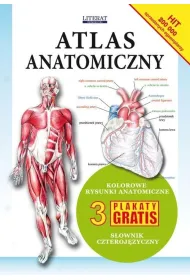 Atlas anatomiczny
