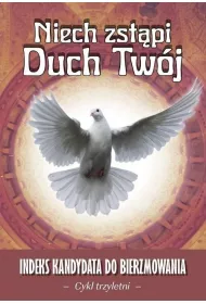 Niech zst�pi Duch Tw�j - cykl trzyletni w.2025