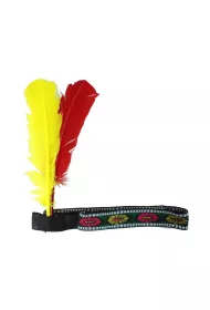 Godan Opaska Indianina