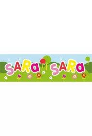 John Hinde Bidon Sara 300 ml
