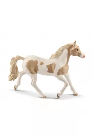 Klacz Paint horse Mare SLH13884