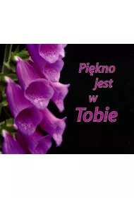 Pikno jest w Tobie. Pereka 155