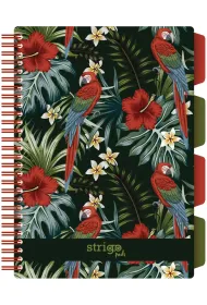 Strigo Ko�ozeszyt Pads B5 Tropiki Papuga kratka 100 kartek
