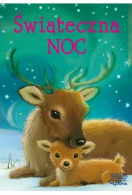 �wi�teczna noc