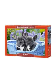 Puzzle 1000 el. Szczeni�ta buldoga francuskiego Castorland