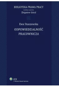 eBook Odpowiedzialno pracownicza pdf