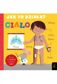 Jak to dzia�a? Cia�o