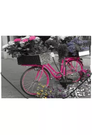 Panta Plast Teczka A4 na gumk� z nadrukiem Bike