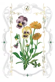 DaVinci Karnet B-BD 502 066 + koperta Bratki 12x18 cm