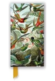 Flame Tree Notatnik Kolibry Ernst Haeckel linia