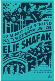 eBook 10 minut i 38 sekund na tym dziwnym wiecie mobi epub
