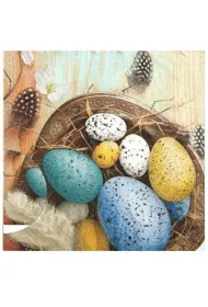 Serwetki Daisy Wielkanoc lunch - Easter Eggs with Feathers on Blue SDWL011201