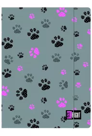 Teczka z gumk� A4 Paws St. Right