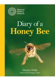 Diary of a Honey Bee