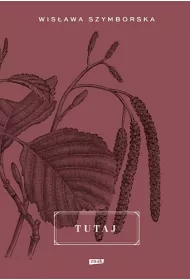 Tutaj