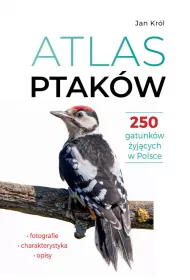 Atlas ptakw