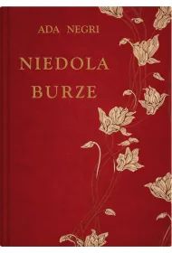 Niedola burze