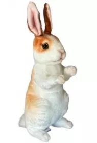 Kr�lik 30cm Dubi