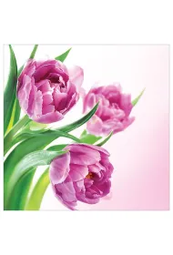 Art Nuvo Karnet kwiatowy FF76 r�owe tulipany