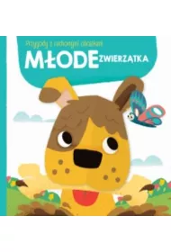 M�ode zwierz�tka. Przygody z ruchomymi obrazkami