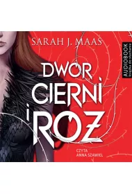 Audiobook Dwr cierni i r. Tom 1 mp3