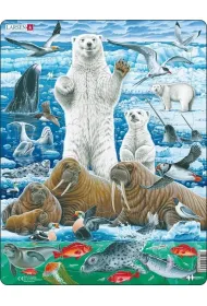 Puzzle Uk�adanka Nied�wied� Polarny i Mors Maxi Tactic