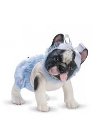 Piesek Lily Buldog Francuski