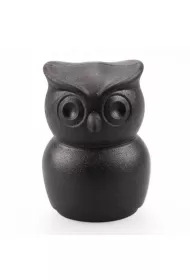 Qualy Otwieracz do butelek Thirsty Owl 10235-BK