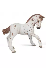 �rebi� Appaloosa