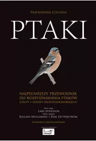 Ptaki Przewodnik Collinsa