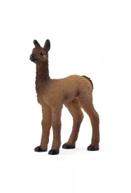 ma�a Lama