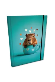 Bee-bee Notes B6 z gumk� Soft Touch Kapibara kratka 96 kartek