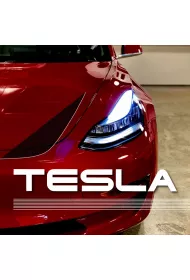 Audiobook Tesla. Narodziny niezwykej firmy mp3