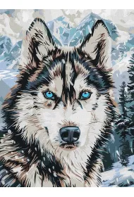 Ideyka Malowanie po numerach - Oczy p�nocy 30x40cm