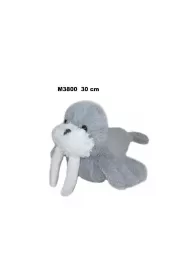 Mors 30cm MIX Sun-Day