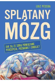Spl�tany m�zg
