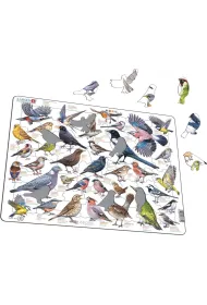 Puzzle Larsen Ptaki ogrodowe LA-ZOO 37710