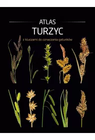 Atlas turzyc z kluczami do oznaczania gatunk�w