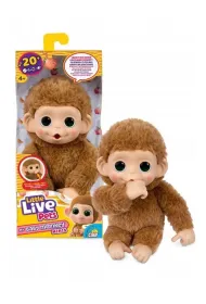 Little Live Pets - Mini Ma�pka Pepi Peach Cobi
