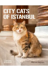 City Cats of Istanbul
