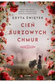 Cie� burzowych chmur. Spacer Alej� R�